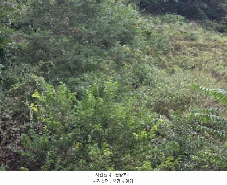 2025타경5417 충청북도 제천시 한수면 송계리 916 농지 경매 이미지