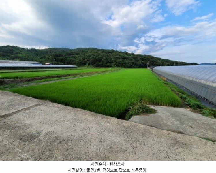 2025타경51818 전라남도 보성군 벌교읍 칠동리 1247-7 농지 경매 이미지