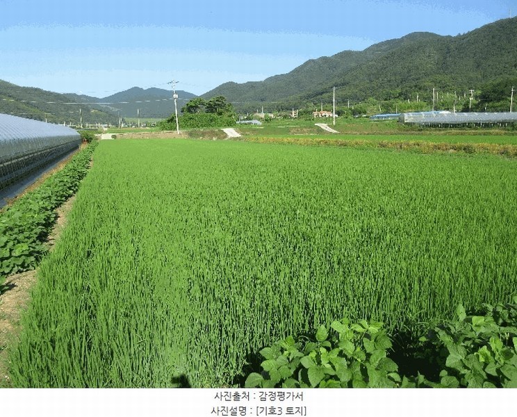 2025타경51818 전라남도 보성군 벌교읍 칠동리 1247-7 농지 경매 이미지