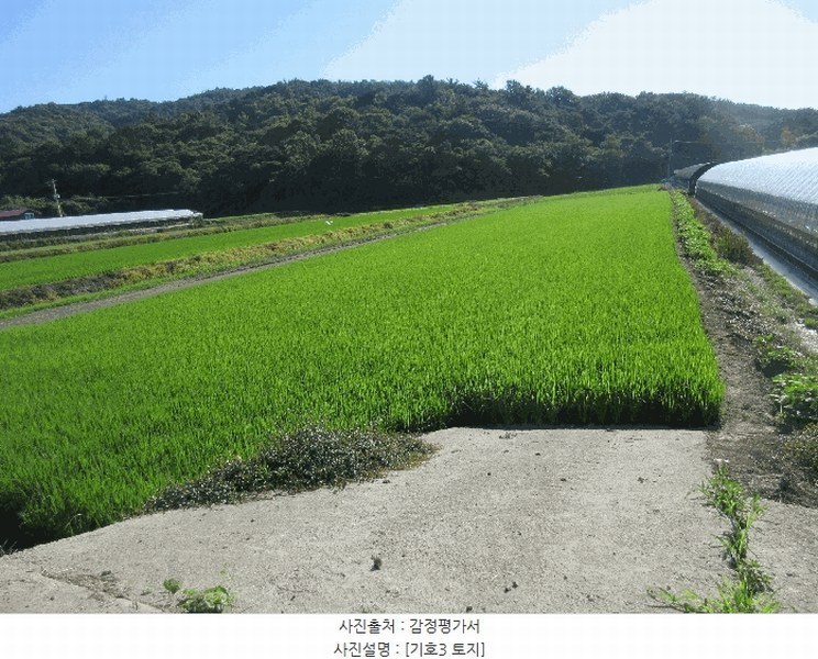 2025타경51818 전라남도 보성군 벌교읍 칠동리 1247-7 농지 경매 이미지