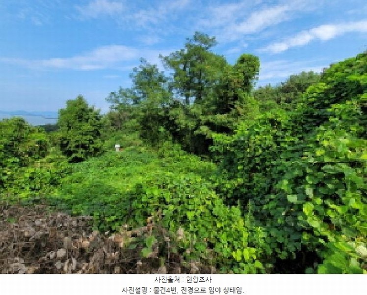 2025타경51932 전라남도 고흥군 남양면 월정리 358-1 농지 경매 이미지