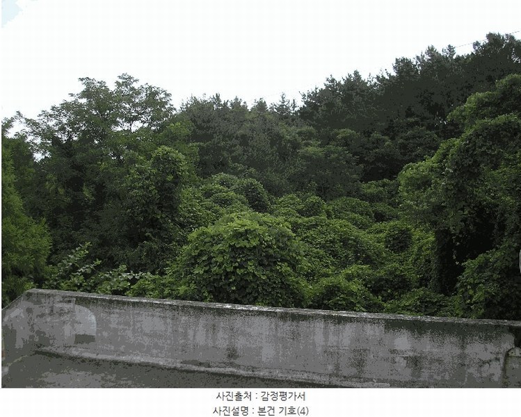 2025타경51932 전라남도 고흥군 남양면 월정리 358-1 농지 경매 이미지
