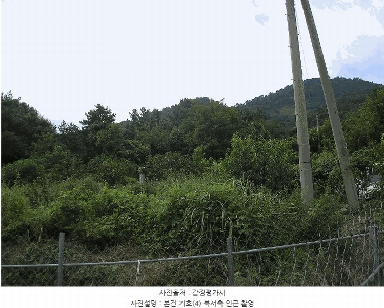 2025타경51932 전라남도 고흥군 남양면 월정리 358-1 농지 경매 이미지