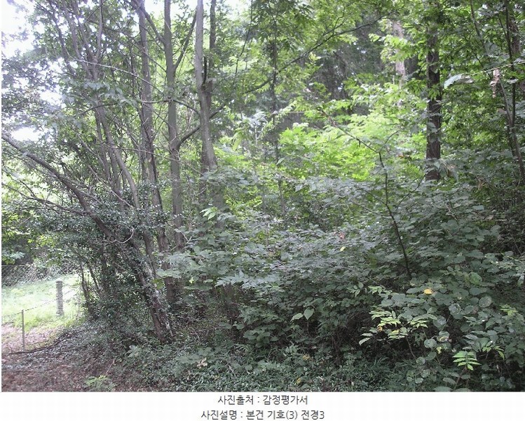 2025타경51932 전라남도 고흥군 남양면 월정리 산39-1 임야 경매 이미지