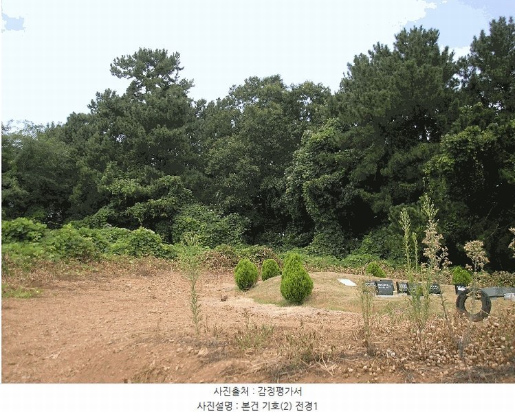 2025타경51932 전라남도 고흥군 남양면 월정리 산39-1 임야 경매 이미지