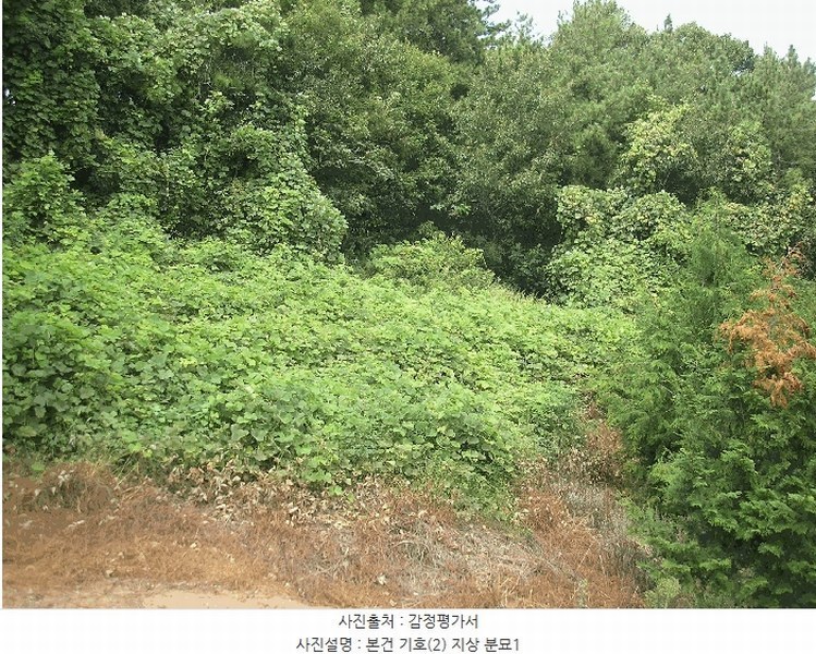 2025타경51932 전라남도 고흥군 남양면 월정리 산39-1 임야 경매 이미지