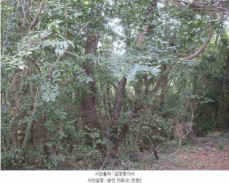 2025타경51932 전라남도 고흥군 남양면 월정리 산39-1 임야 경매 이미지