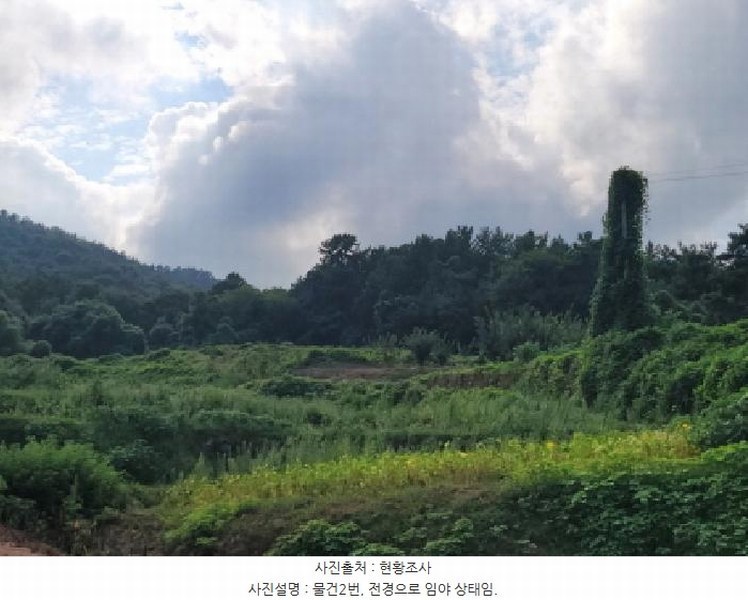2025타경51932 전라남도 고흥군 남양면 월정리 산39-1 임야 경매 이미지