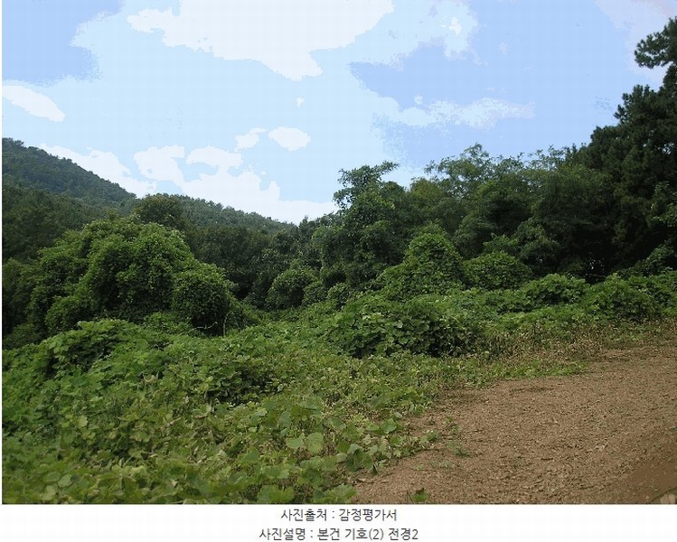 2025타경51932 전라남도 고흥군 남양면 월정리 산39-1 임야 경매 이미지