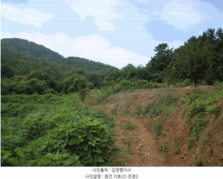 2025타경51932 전라남도 고흥군 남양면 월정리 산39-1 임야 경매 이미지