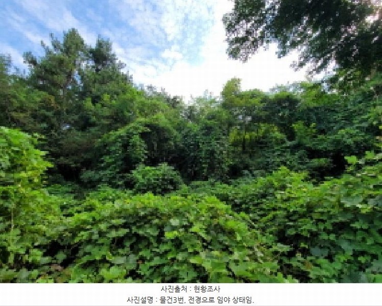 2025타경51932 전라남도 고흥군 남양면 월정리 산39-1 임야 경매 이미지