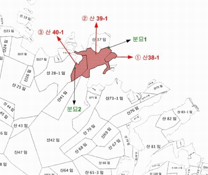 2025타경51932 전라남도 고흥군 남양면 월정리 산39-1 임야 경매 이미지