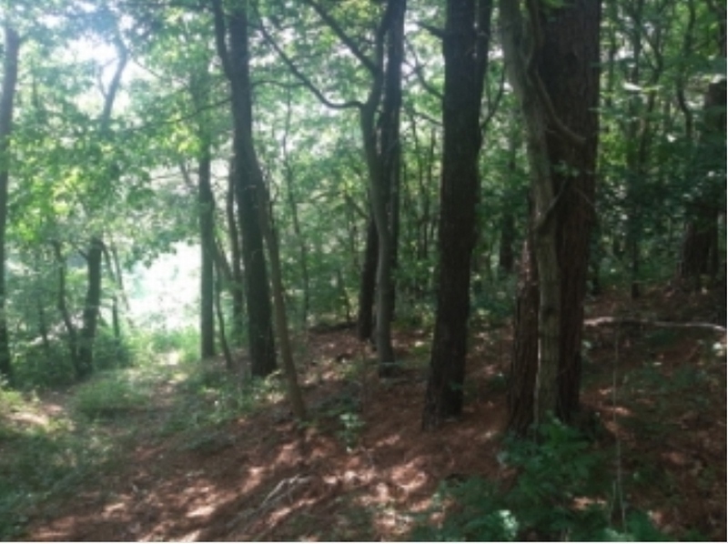 2025타경51357 충청남도 당진시 대덕동 649-3 임야 경매 이미지