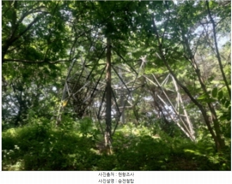 2025타경51357 충청남도 당진시 대덕동 649-3 임야 경매 이미지