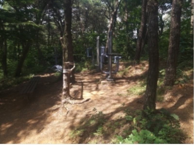2025타경51357 충청남도 당진시 대덕동 649-3 임야 경매 이미지
