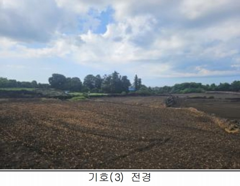 2025타경8268 제주특별자치도 제주시 구좌읍 세화리 742 농지 경매 이미지
