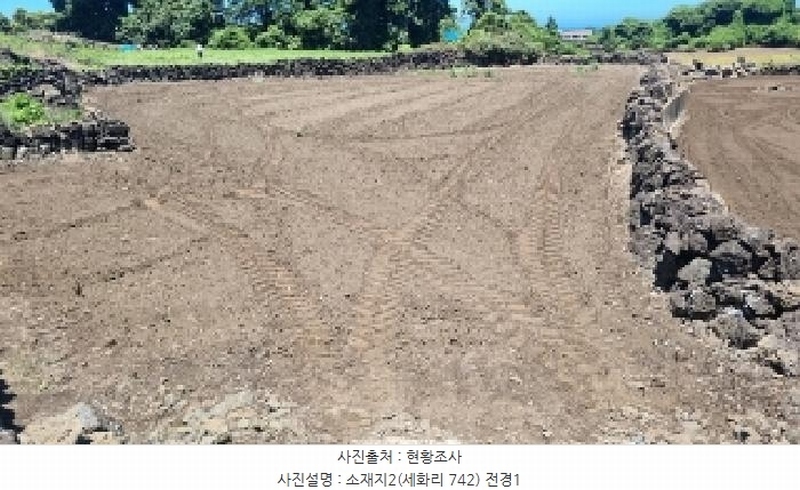2025타경8268 제주특별자치도 제주시 구좌읍 세화리 742 농지 경매 이미지