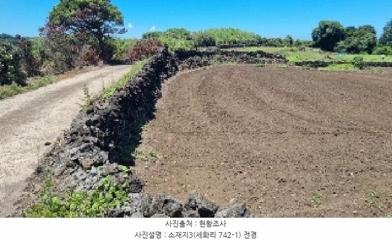 2025타경8268 제주특별자치도 제주시 구좌읍 세화리 742 농지 경매 이미지
