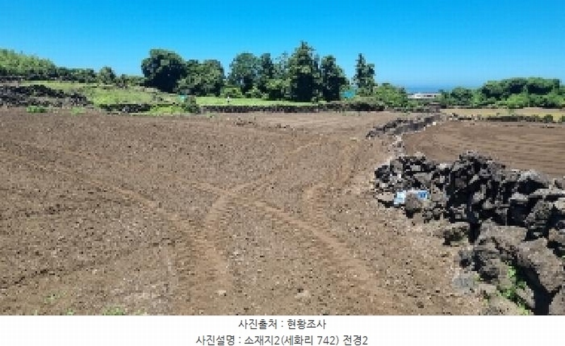 2025타경8268 제주특별자치도 제주시 구좌읍 세화리 742 농지 경매 이미지