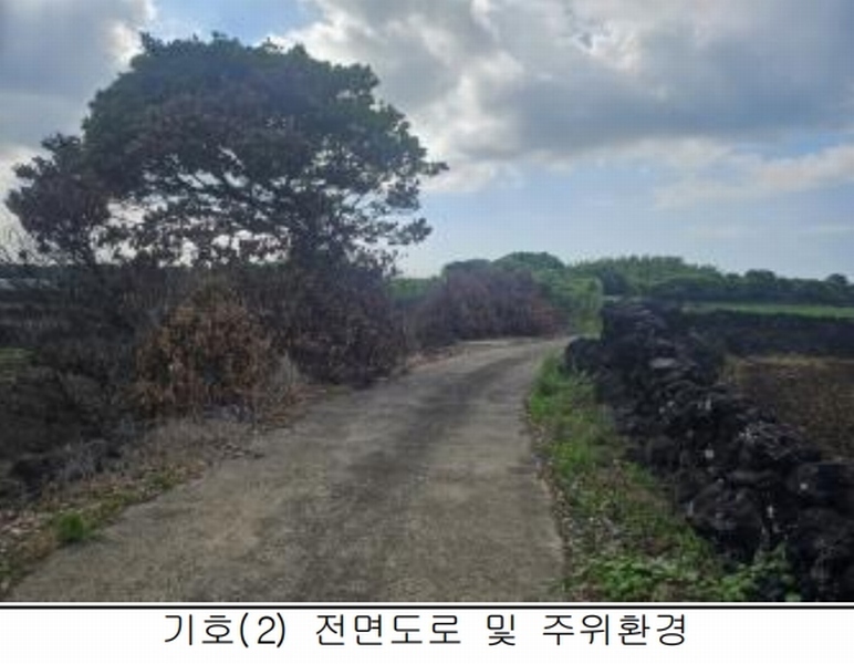 2025타경8268 제주특별자치도 제주시 구좌읍 세화리 742 농지 경매 이미지