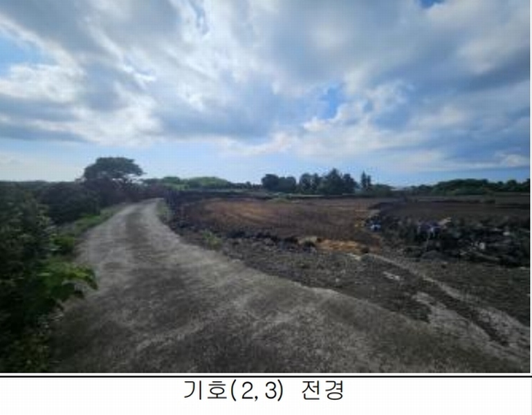 2025타경8268 제주특별자치도 제주시 구좌읍 세화리 742 농지 경매 이미지