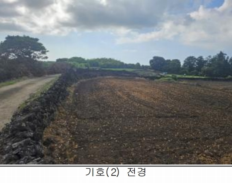 2025타경8268 제주특별자치도 제주시 구좌읍 세화리 742 농지 경매 이미지
