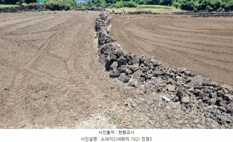 2025타경8268 제주특별자치도 제주시 구좌읍 세화리 742 농지 경매 이미지