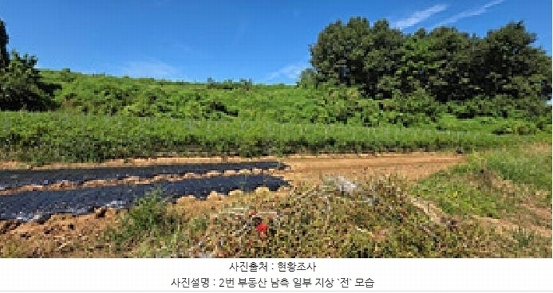 2025타경15958 충청남도 홍성군 금마면 송암리 176 농지 경매 이미지
