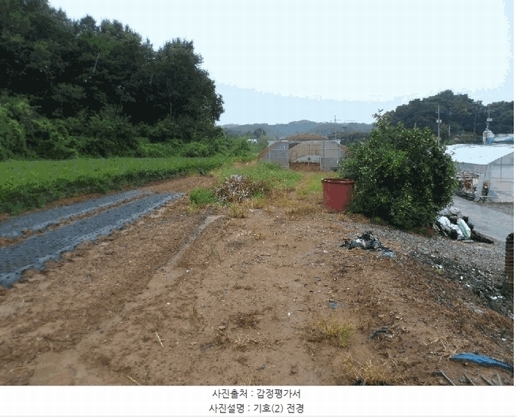 2025타경15958 충청남도 홍성군 금마면 송암리 176 농지 경매 이미지