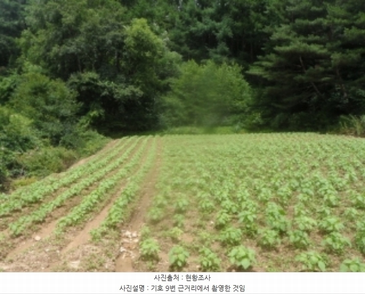 2024타경31940 강원특별자치도 평창군 봉평면 덕거리 843 농지 경매 이미지