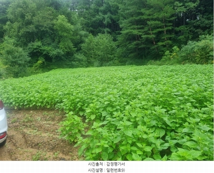 2024타경31940 강원특별자치도 평창군 봉평면 덕거리 843 농지 경매 이미지