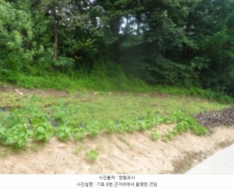 2024타경31940 강원특별자치도 평창군 봉평면 덕거리 836 대지 경매 이미지
