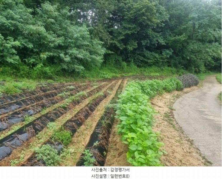 2024타경31940 강원특별자치도 평창군 봉평면 덕거리 836 대지 경매 이미지