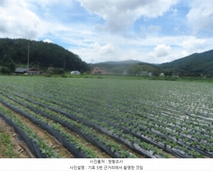 2024타경31940 강원특별자치도 평창군 봉평면 원길리 800-1 농지 경매 이미지