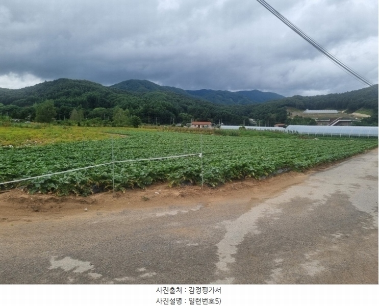 2024타경31940 강원특별자치도 평창군 봉평면 원길리 800-1 농지 경매 이미지