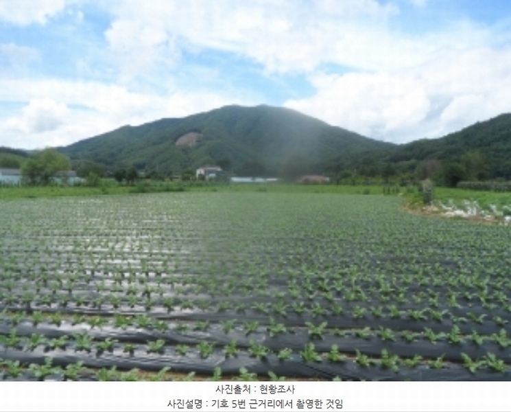 2024타경31940 강원특별자치도 평창군 봉평면 원길리 800-1 농지 경매 이미지