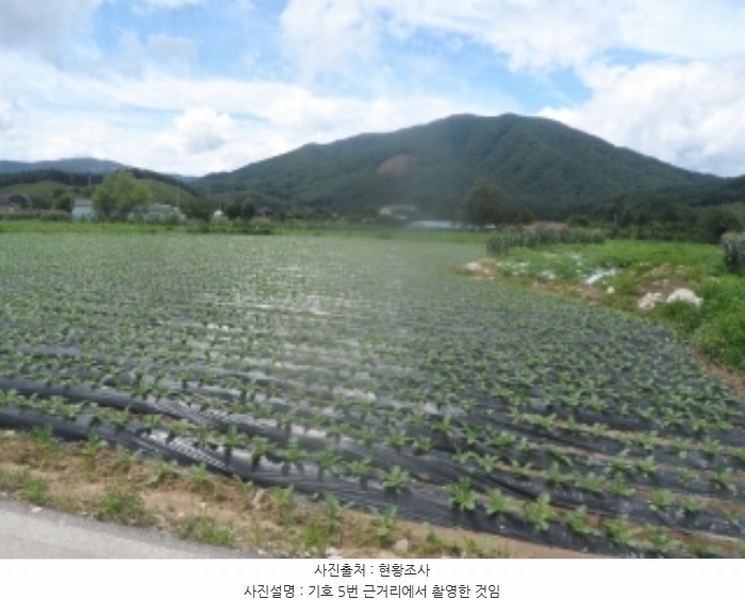 2024타경31940 강원특별자치도 평창군 봉평면 원길리 800-1 농지 경매 이미지