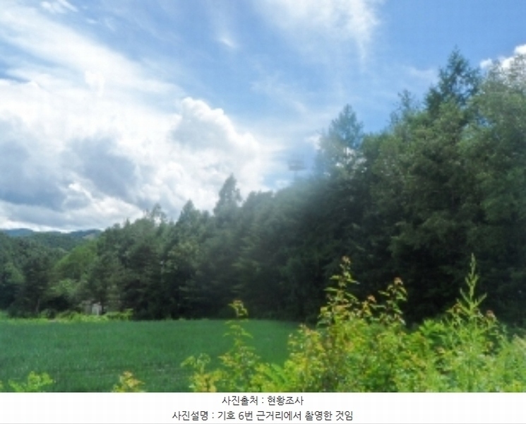 2024타경31940 강원특별자치도 평창군 봉평면 원길리 659-3 임야 경매 이미지