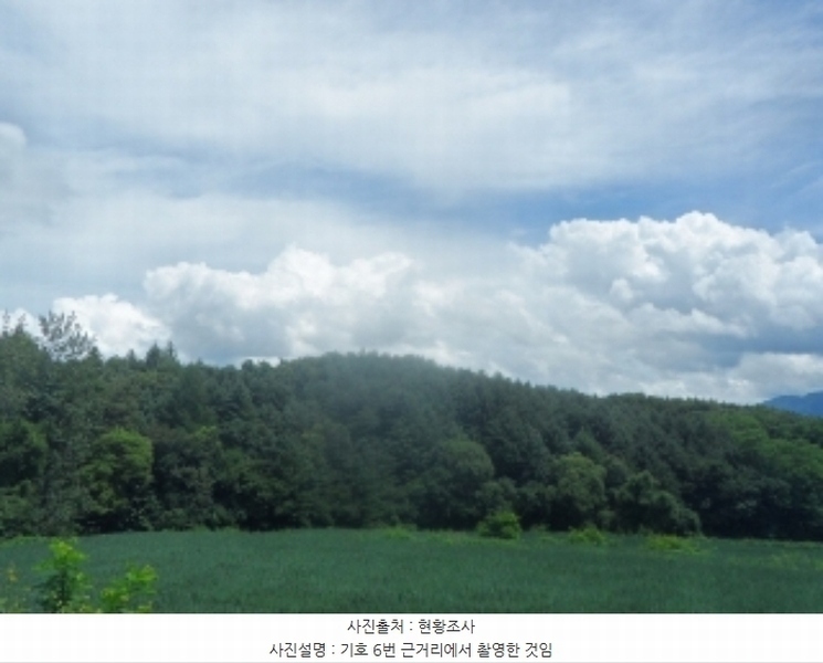 2024타경31940 강원특별자치도 평창군 봉평면 원길리 659-3 임야 경매 이미지