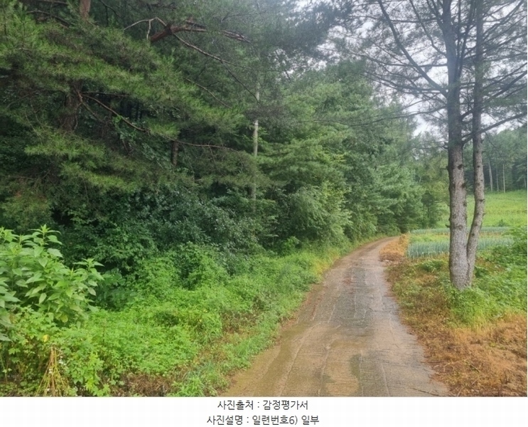 2024타경31940 강원특별자치도 평창군 봉평면 원길리 659-3 임야 경매 이미지