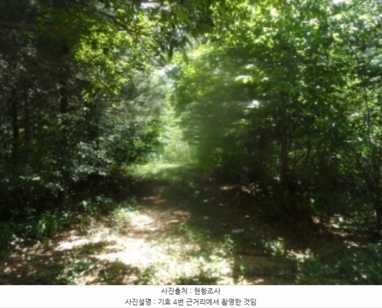 2024타경31940 강원특별자치도 평창군 봉평면 원길리 659-3 임야 경매 이미지