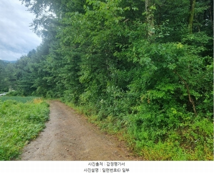 2024타경31940 강원특별자치도 평창군 봉평면 원길리 659-3 임야 경매 이미지