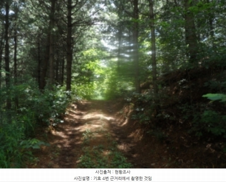 2024타경31940 강원특별자치도 평창군 봉평면 원길리 659-3 임야 경매 이미지