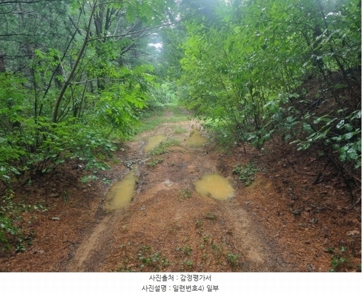 2024타경31940 강원특별자치도 평창군 봉평면 원길리 659-3 임야 경매 이미지