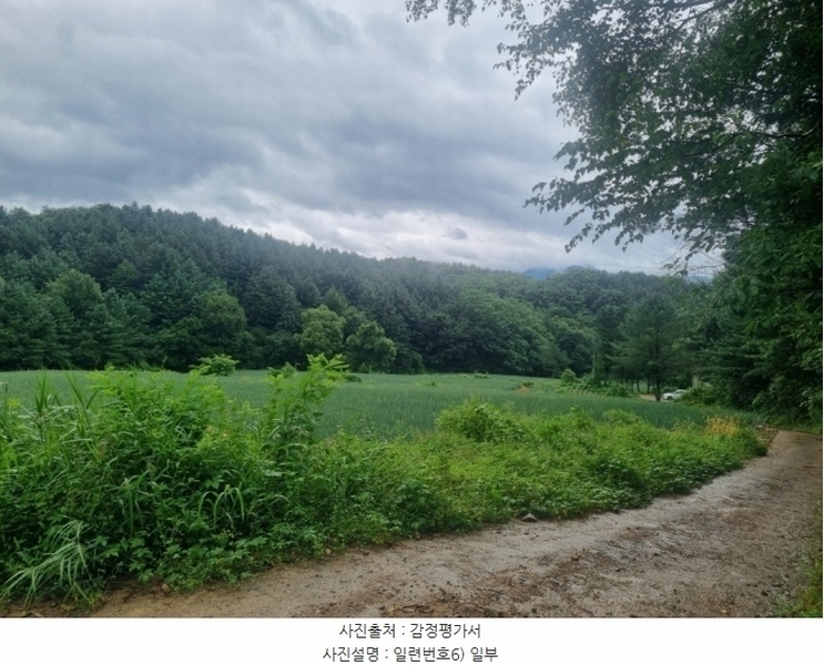 2024타경31940 강원특별자치도 평창군 봉평면 원길리 659-3 임야 경매 이미지
