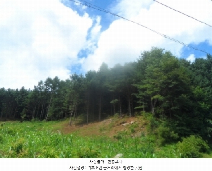 2024타경31940 강원특별자치도 평창군 봉평면 원길리 659-3 임야 경매 이미지