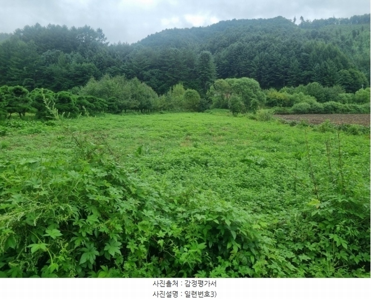 2024타경31940 강원특별자치도 평창군 봉평면 원길리 415 농지 경매 이미지