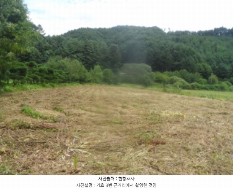 2024타경31940 강원특별자치도 평창군 봉평면 원길리 415 농지 경매 이미지