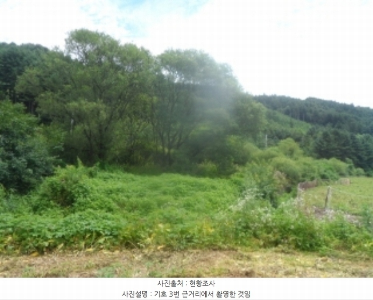 2024타경31940 강원특별자치도 평창군 봉평면 원길리 415 농지 경매 이미지