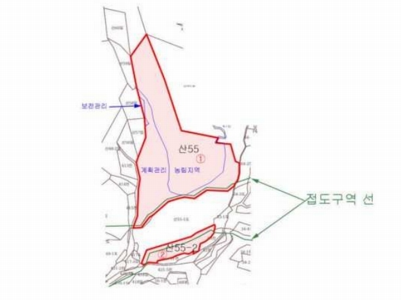 2024타경32509 강원특별자치도 평창군 용평면 속사리 산55-2 임야 경매 이미지